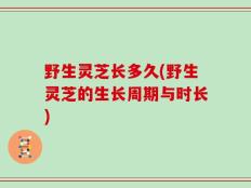 野生灵芝长多久(野生灵芝的生长周期与时长)