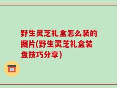 野生灵芝礼盒怎么装的图片(野生灵芝礼盒装盘技巧分享)