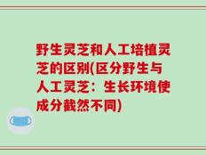 野生灵芝和人工培植灵芝的区别(区分野生与人工灵芝：生长环境使成分截然不同)