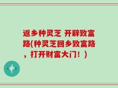返乡种灵芝 开辟致富路(种灵芝回乡致富路，打开财富大门！)