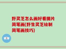 野灵芝怎么画好看图片简笔画(野生灵芝绘制简笔画技巧)