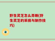 野生灵芝怎么弄断(野生灵芝的采摘与制作技巧)