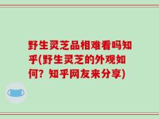野生灵芝品相难看吗知乎(野生灵芝的外观如何？知乎网友来分享)