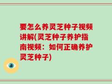 要怎么养灵芝种子视频讲解(灵芝种子养护指南视频：如何正确养护灵芝种子)