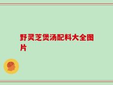 野灵芝煲汤配料大全图片