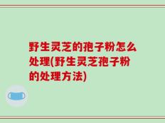 野生灵芝的孢子粉怎么处理(野生灵芝孢子粉的处理方法)
