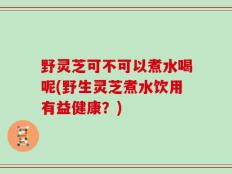 野灵芝可不可以煮水喝呢(野生灵芝煮水饮用有益健康？)