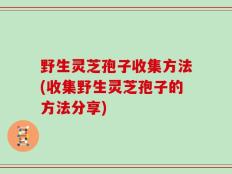野生灵芝孢子收集方法(收集野生灵芝孢子的方法分享)