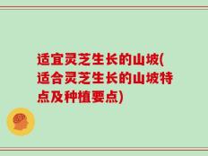 适宜灵芝生长的山坡(适合灵芝生长的山坡特点及种植要点)
