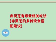 赤灵芝有哪些相关吃法(赤灵芝的多种饮食搭配建议)
