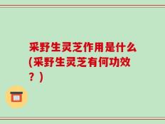采野生灵芝作用是什么(采野生灵芝有何功效？)
