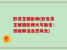 野灵芝摄影师(野生灵芝被摄影师大写新生：惊艳鲜活自然风光)