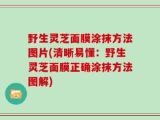 野生灵芝面膜涂抹方法图片(清晰易懂：野生灵芝面膜正确涂抹方法图解)