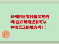 郑州附近有种植灵芝的吗(在郑州附近有可以种植灵芝的地方吗？)