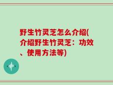 野生竹灵芝怎么介绍(介绍野生竹灵芝：功效、使用方法等)
