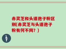 赤灵芝和头道孢子粉区别(赤灵芝与头道孢子粉有何不同？)