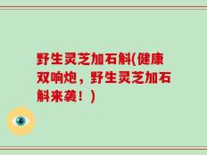 野生灵芝加石斛(健康双响炮，野生灵芝加石斛来袭！)