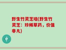 野生竹灵芝培(野生竹灵芝：珍稀草药，价值非凡)