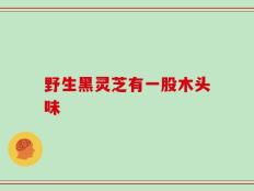 野生黑灵芝有一股木头味