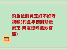 钓鱼捡到灵芝好不好呀视频(钓鱼手捞到珍贵灵芝 网友惊呼美妙奇遇)