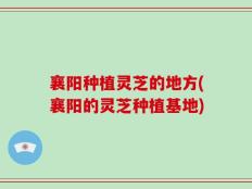 襄阳种植灵芝的地方(襄阳的灵芝种植基地)