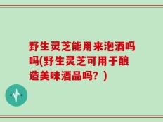 野生灵芝能用来泡酒吗吗(野生灵芝可用于酿造美味酒品吗？)