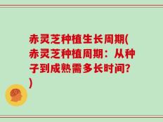 赤灵芝种植生长周期(赤灵芝种植周期：从种子到成熟需多长时间？)