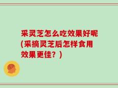 采灵芝怎么吃效果好呢(采摘灵芝后怎样食用效果更佳？)