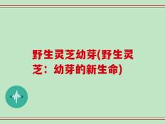 野生灵芝幼芽(野生灵芝：幼芽的新生命)