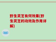 野生灵芝有何效果(野生灵芝的功效及作用详解)