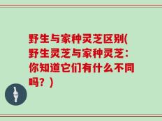 野生与家种灵芝区别(野生灵芝与家种灵芝：你知道它们有什么不同吗？)