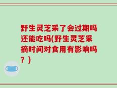 野生灵芝采了会过期吗还能吃吗(野生灵芝采摘时间对食用有影响吗？)