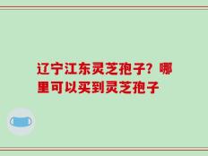 辽宁江东灵芝孢子？哪里可以买到灵芝孢子