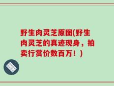野生肉灵芝原图(野生肉灵芝的真迹现身，拍卖行赏价数百万！)