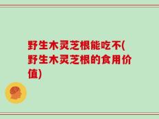 野生木灵芝根能吃不(野生木灵芝根的食用价值)