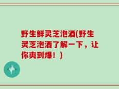 野生鲜灵芝泡酒(野生灵芝泡酒了解一下，让你爽到爆！)