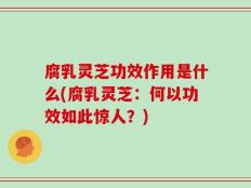 腐乳灵芝功效作用是什么(腐乳灵芝：何以功效如此惊人？)