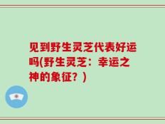 见到野生灵芝代表好运吗(野生灵芝：幸运之神的象征？)