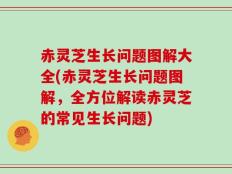 赤灵芝生长问题图解大全(赤灵芝生长问题图解，全方位解读赤灵芝的常见生长问题)