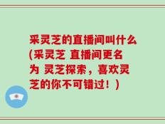 采灵芝的直播间叫什么(采灵芝 直播间更名为 灵芝探索，喜欢灵芝的你不可错过！)