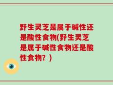 野生灵芝是属于碱性还是酸性食物(野生灵芝是属于碱性食物还是酸性食物？)