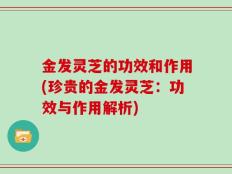 金发灵芝的功效和作用(珍贵的金发灵芝：功效与作用解析)