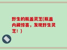 野生的瓶盖灵芝(瓶盖内藏惊喜，发现野生灵芝！)