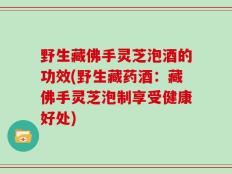 野生藏佛手灵芝泡酒的功效(野生藏药酒：藏佛手灵芝泡制享受健康好处)