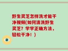 野生灵芝怎样洗才能干净视频(如何清洗野生灵芝？学学正确方法，轻松干净！)