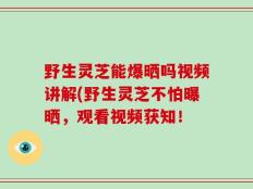 野生灵芝能爆晒吗视频讲解(野生灵芝不怕曝晒，观看视频获知！