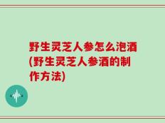 野生灵芝人参怎么泡酒(野生灵芝人参酒的制作方法)