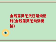 金线莲灵芝煲还是炖汤好(金线莲灵芝炖汤更佳)