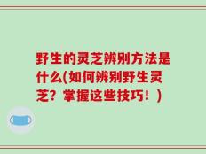 野生的灵芝辨别方法是什么(如何辨别野生灵芝？掌握这些技巧！)