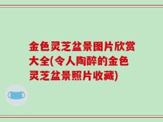 金色灵芝盆景图片欣赏大全(令人陶醉的金色灵芝盆景照片收藏)